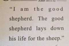 The good shepherd